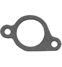 Pakning i gruppen Reservedele / Briggs & Stratton reservedele hos GPLSHOP (272199S)