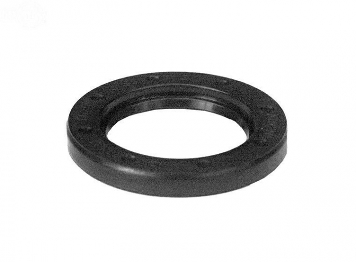 Pakning i gruppen Reservedele / Briggs & Stratton reservedele hos GPLSHOP (294606S)