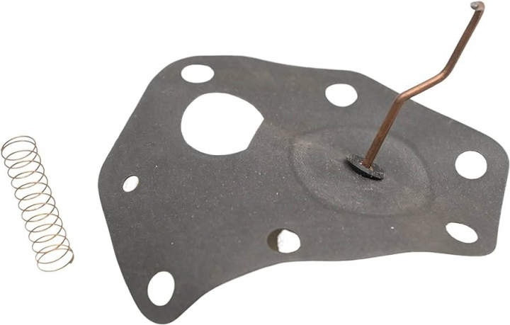 Membran (Top 100) i gruppen Reservedele / Briggs & Stratton reservedele hos GPLSHOP (299637)