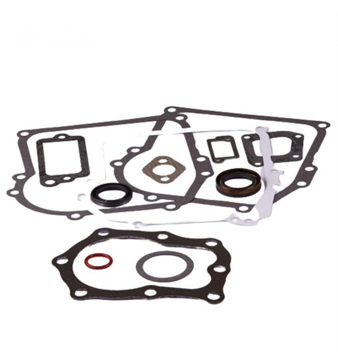Pakningssæt i gruppen Reservedele / Briggs & Stratton reservedele hos GPLSHOP (391662)