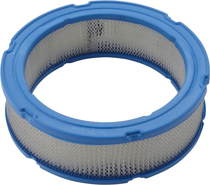 Filter i gruppen Reservedele / Briggs & Stratton reservedele hos GPLSHOP (394018S)