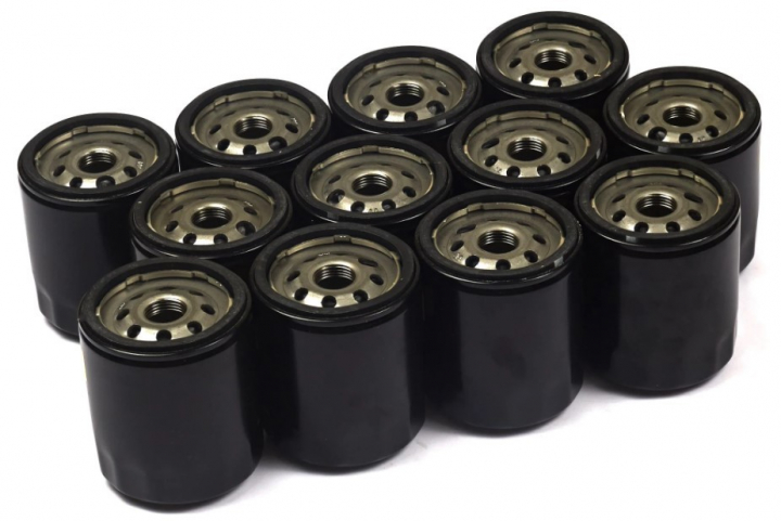 Oliefilter (12 X 491056) i gruppen Reservedele / Briggs & Stratton reservedele hos GPLSHOP (4153)