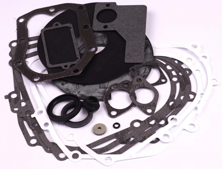 Pakningssæt i gruppen Reservedele / Briggs & Stratton reservedele hos GPLSHOP (492653)
