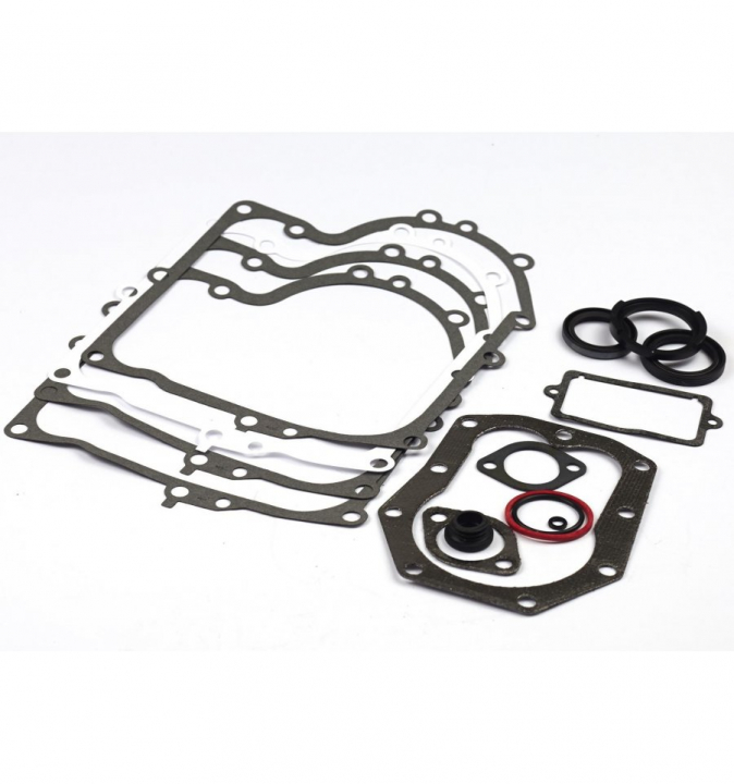 Pakningssæt 494241 i gruppen Reservedele / Briggs & Stratton reservedele hos GPLSHOP (494241)