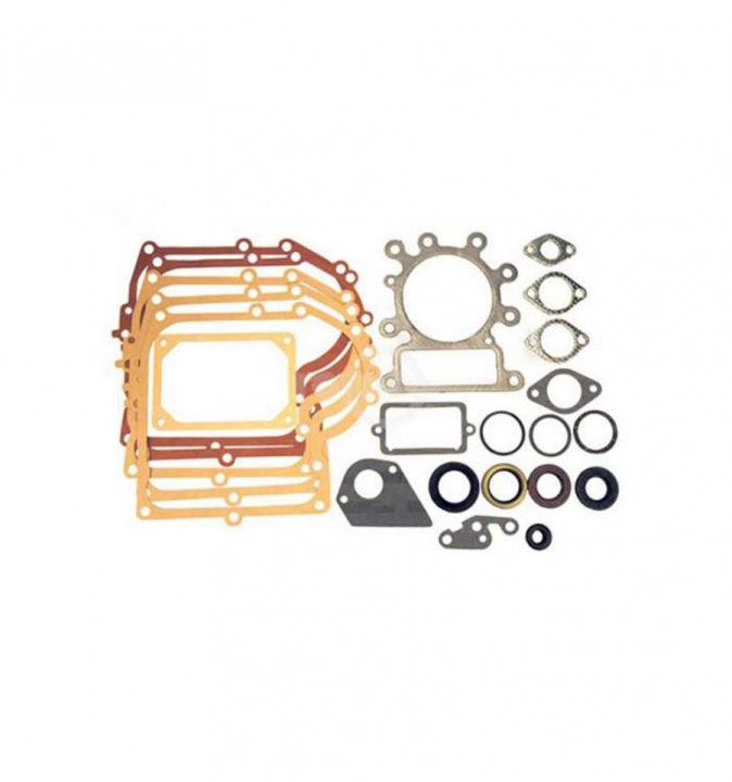 Pakningssæt i gruppen Reservedele / Briggs & Stratton reservedele hos GPLSHOP (495993)