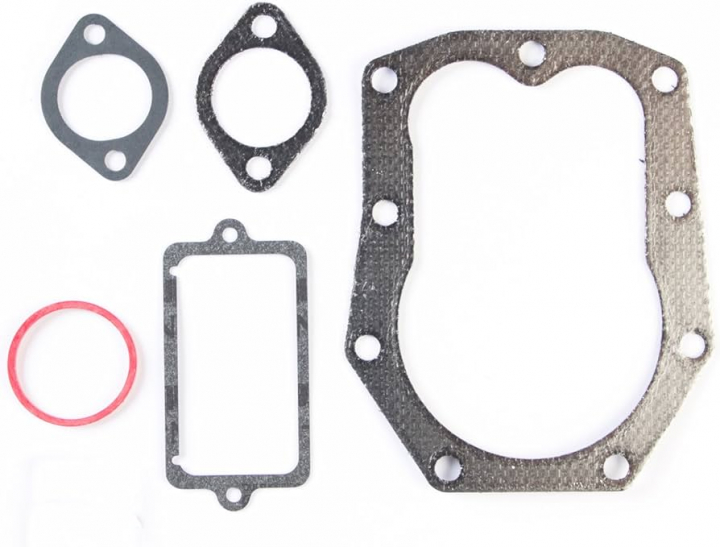 Pakningsventil i gruppen Reservedele / Briggs & Stratton reservedele hos GPLSHOP (498539)