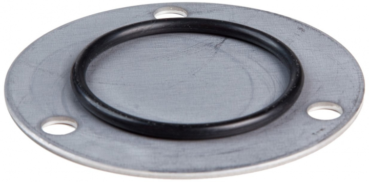 Dæk-oliepumpe i gruppen Reservedele / Briggs & Stratton reservedele hos GPLSHOP (499613)