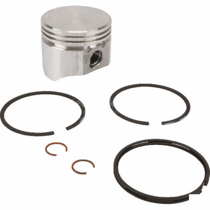 Stempel kompl. Std. i gruppen Reservedele / Briggs & Stratton reservedele hos GPLSHOP (499960)