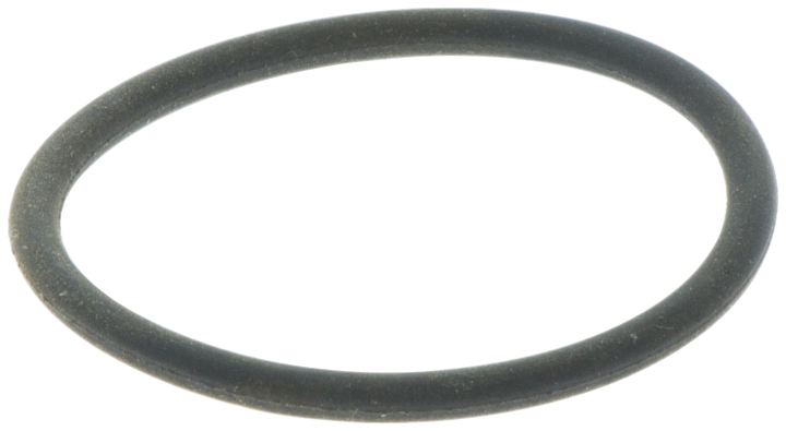 O-ring i gruppen  hos GPLSHOP (5032630-03)