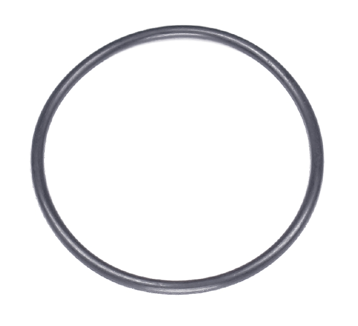 O-Ring 489X262 i gruppen  hos GPLSHOP (5203417-01)