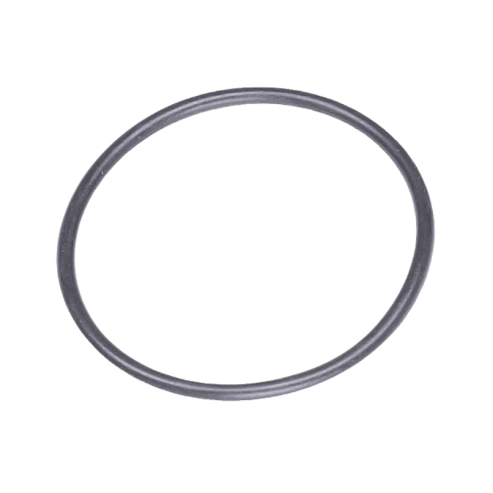 O-Ring 325X19 5204016-01 i gruppen  hos GPLSHOP (5204016-01)