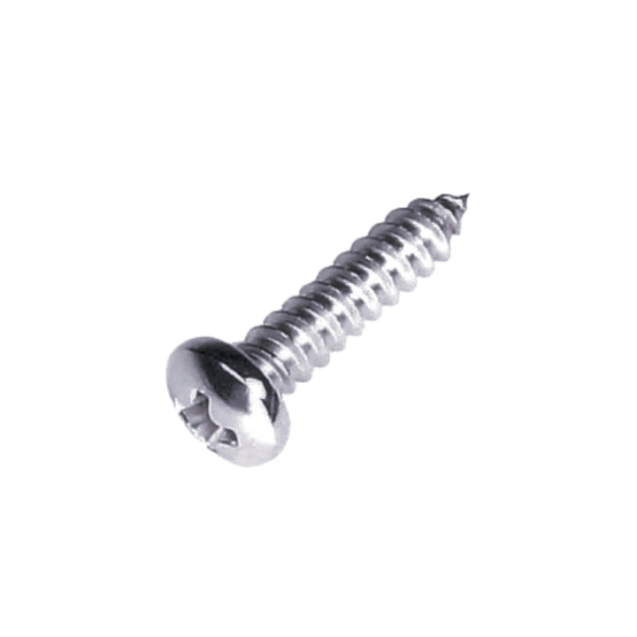 Pladeskrue 42X19 5204322-01 i gruppen hos GPLSHOP (5204322-01)