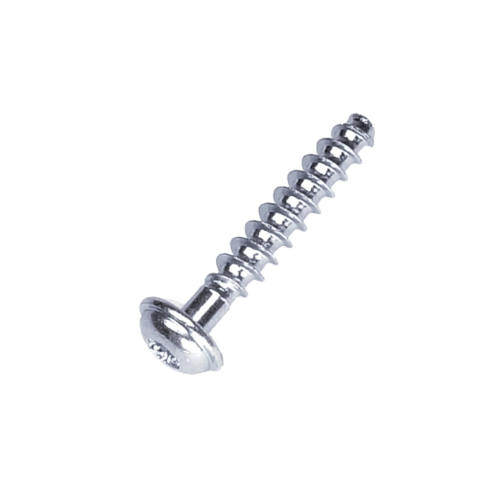 Skru T50X28 5205247-01 i gruppen hos GPLSHOP (5205247-01)