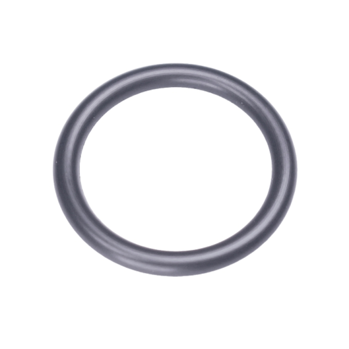 O-Ring 166X24 5237693-01 i gruppen  hos GPLSHOP (5237693-01)