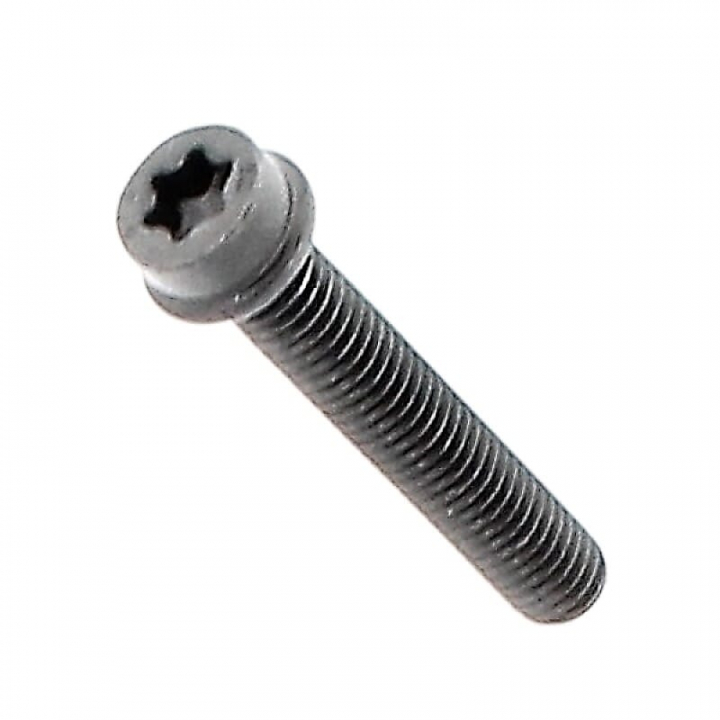 Skrue 5258251-04 i gruppen Reservedele hos GPLSHOP (5258251-04)