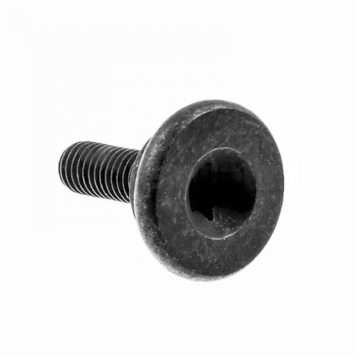 Skrue 5268345-01 i gruppen Reservedele / Reservedele Motorsave / Reservdele Husqvarna T540XP hos GPLSHOP (5268345-01)