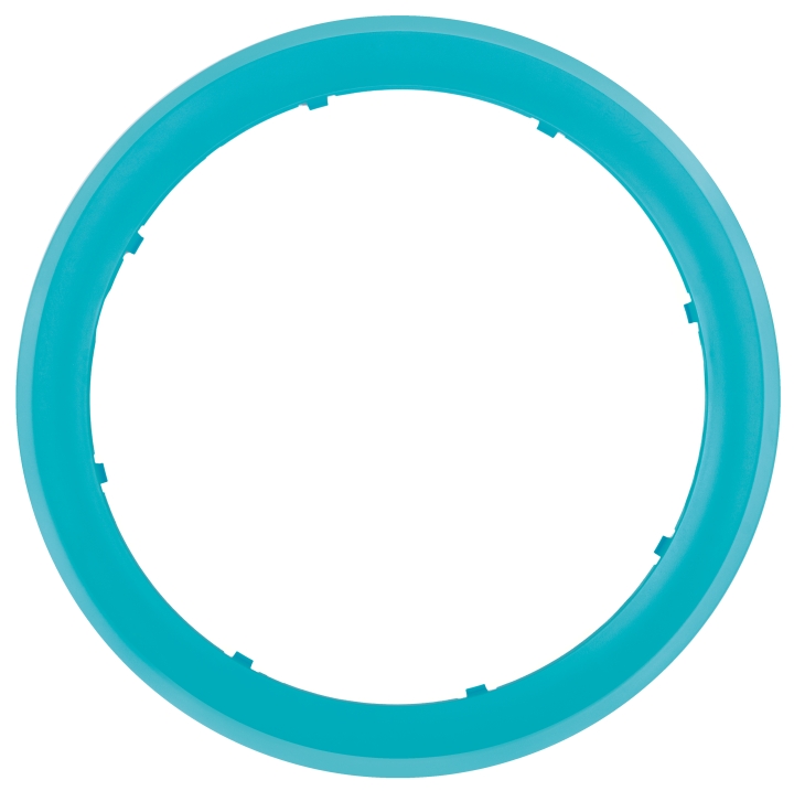 Ring udenfor turkis i gruppen hos GPLSHOP (5298883-01)