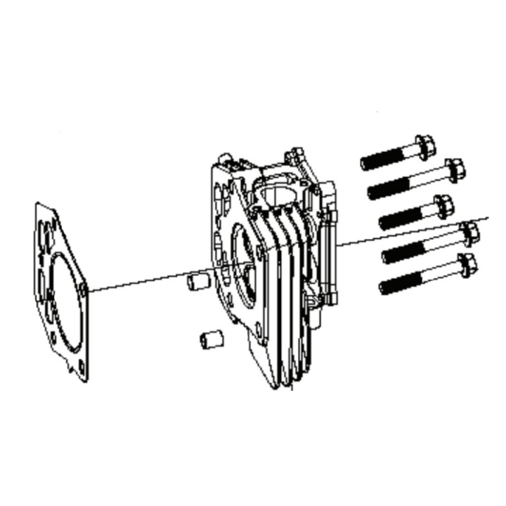 Cylinderhovedsæt i gruppen Reservedele / Reservedele Rider / Reservedele Husqvarna Rider 214TC hos GPLSHOP (5311469-92)