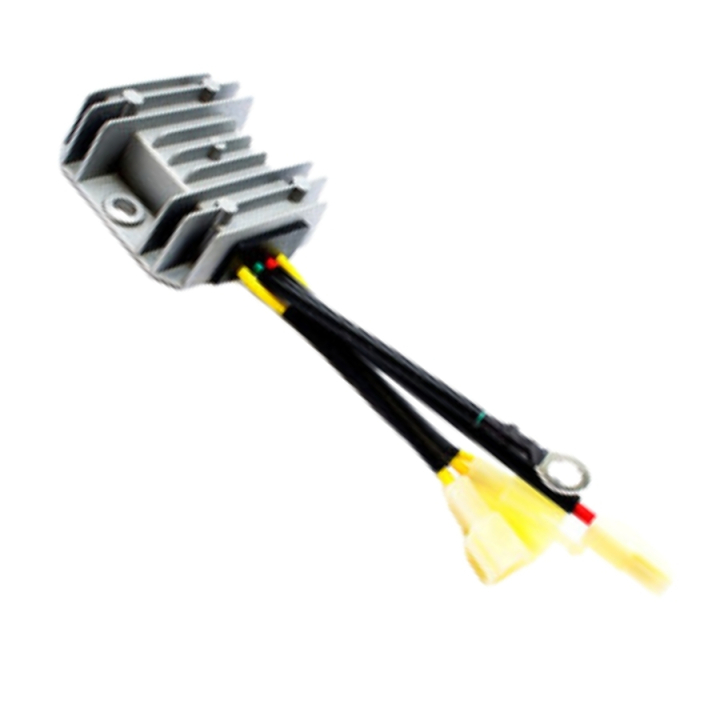 Variator i gruppen Reservedele / Reservedele Rider hos GPLSHOP (5311471-24)