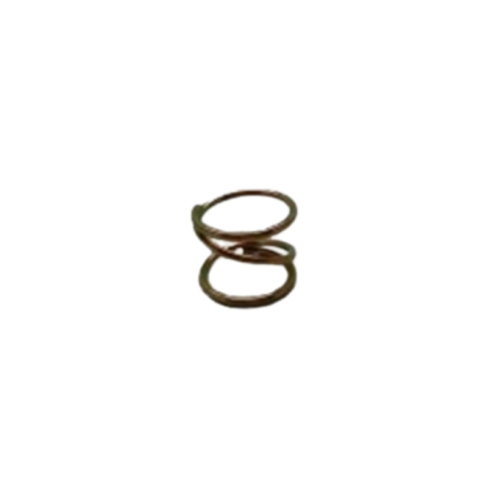 Caster Spring 5391157-47 i gruppen  hos GPLSHOP (5391157-47)