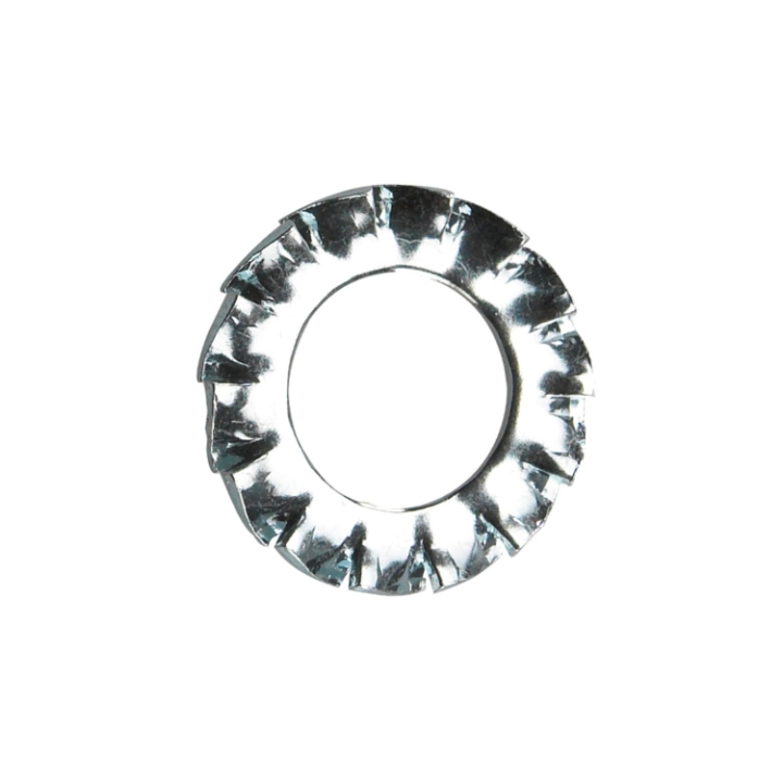 Skive Tand, 1/4 i gruppen  hos GPLSHOP (5399900-53)