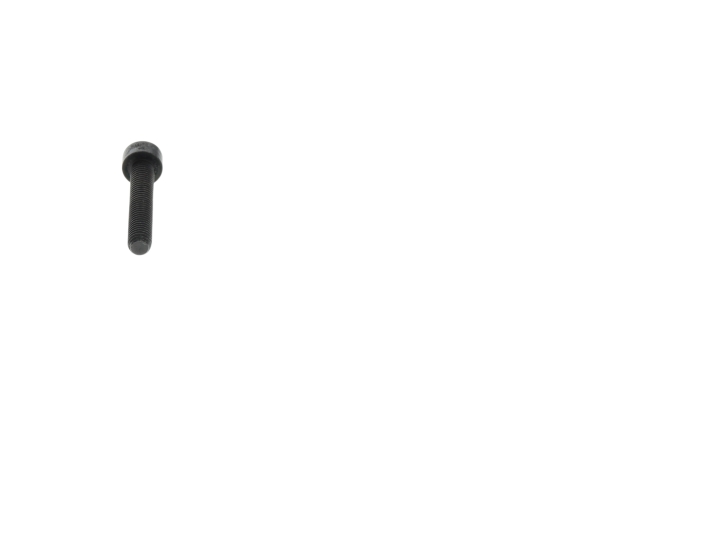 Skrue m5x30 i gruppen  hos GPLSHOP (5474473-01)