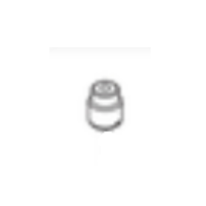 Hoveddyse til E10-brændstof HV 586AE i gruppen Reservedele / Reservedele Gräsklippare / Reservedele till Motorer / Reservedele HV586AE (531262201) hos GPLSHOP (5489036-01)