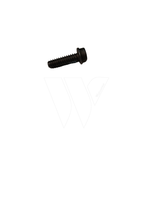 Skrue 5739258-04 i gruppen Reservedele / Reservedele Motorsave / Reservedele Husqvarna T542i XPG hos GPLSHOP (5739258-04)