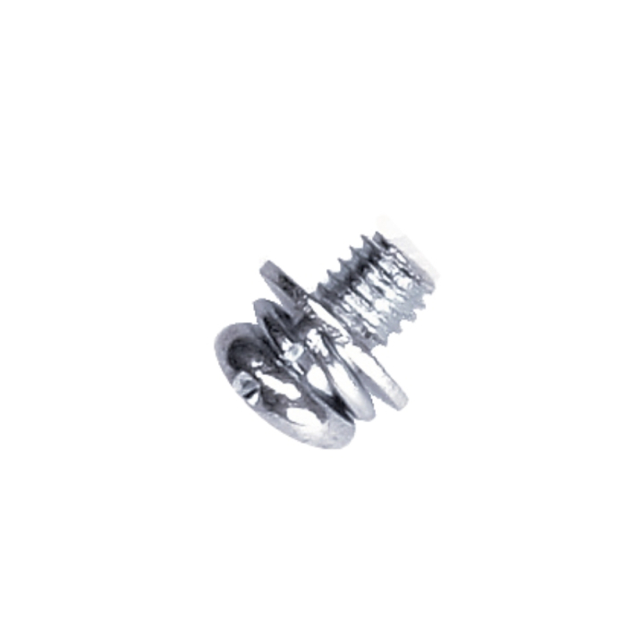 Scew 5747338-01 i gruppen hos GPLSHOP (5747338-01)