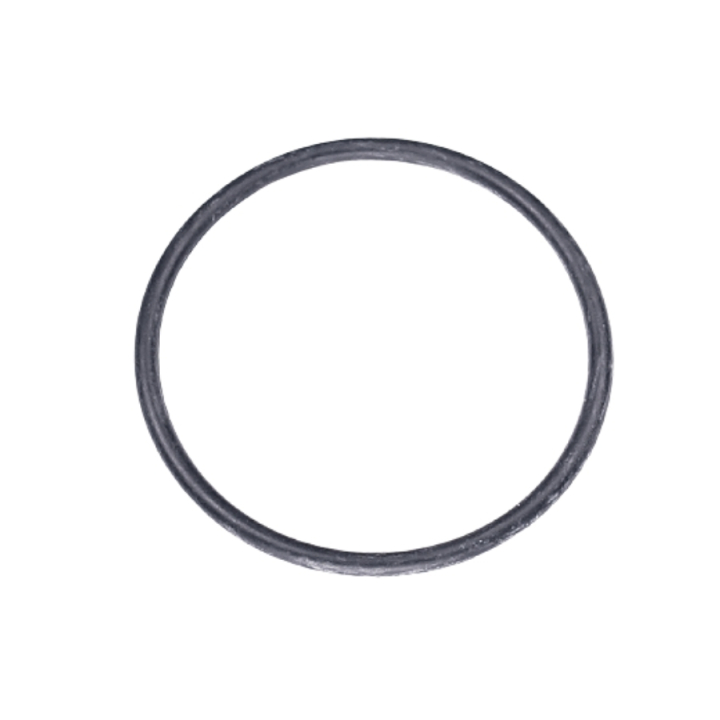 O Ring 5787610-01 i gruppen  hos GPLSHOP (5787610-01)