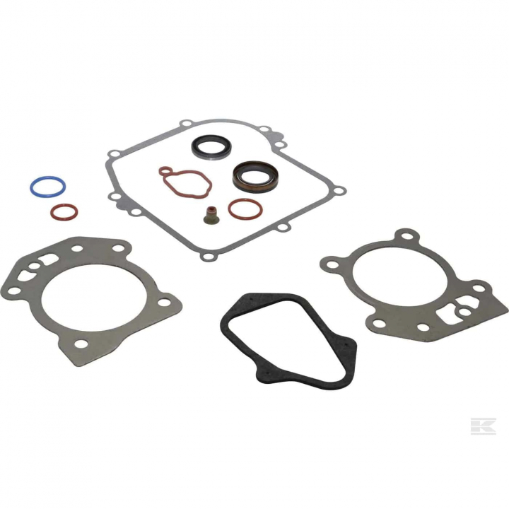 Pakningssæt B&S 595350 i gruppen Reservedele / Briggs & Stratton reservedele hos GPLSHOP (5822886-23)