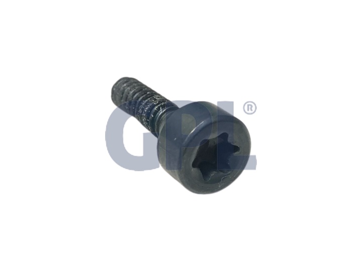 Skrue Itxsct Mt4X16 T27 129 586444901 5864449-01 i gruppen Reservedele Robotplæneklipper / Reservedele Husqvarna Automower® 435X AWD / Automower 435X AWD - 2024 hos GPLSHOP (5864449-01)