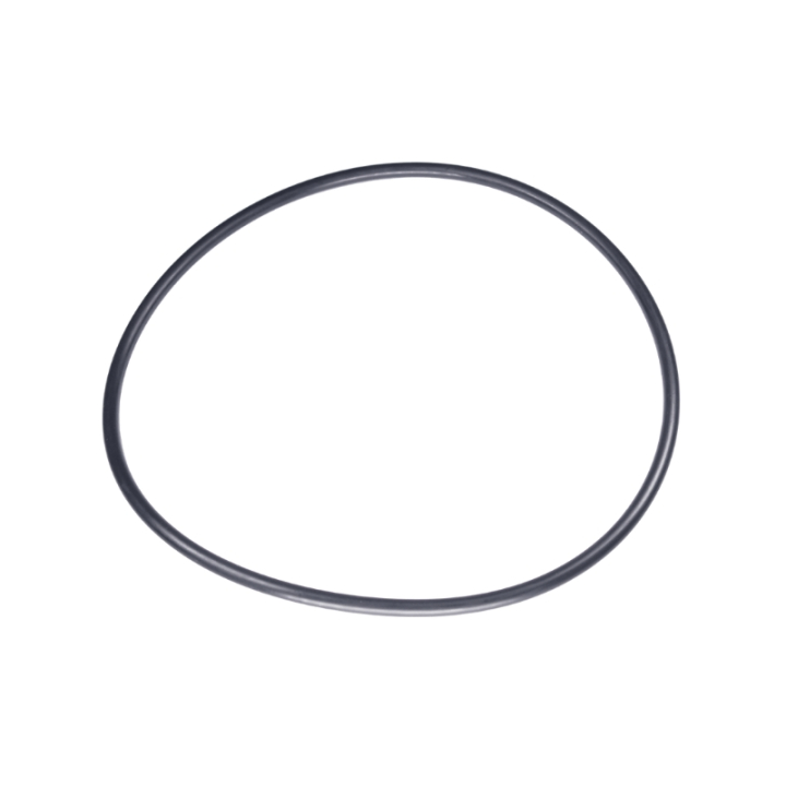 O-Ring 160X55 5885243-01 i gruppen  hos GPLSHOP (5885243-01)