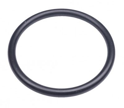 O-Ring 295X27 5885642-01 i gruppen  hos GPLSHOP (5885642-01)