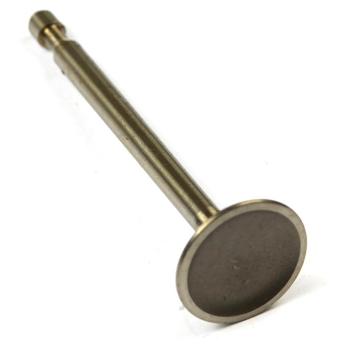Ventil-indtag i gruppen Reservedele / Briggs & Stratton reservedele hos GPLSHOP (590393)