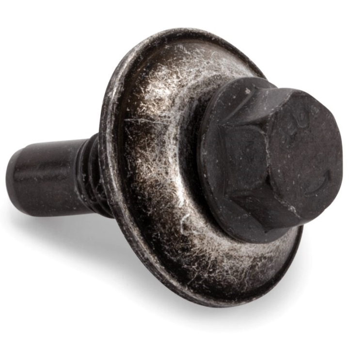 Skru Assy i gruppen  hos GPLSHOP (5905038-01)