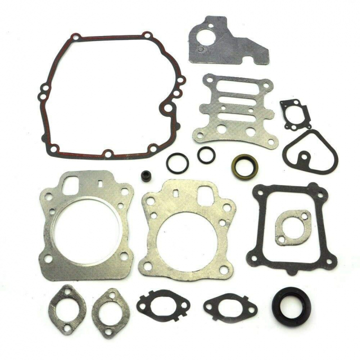 Pakningssæt motor i gruppen Reservedele / Briggs & Stratton reservedele hos GPLSHOP (592173)