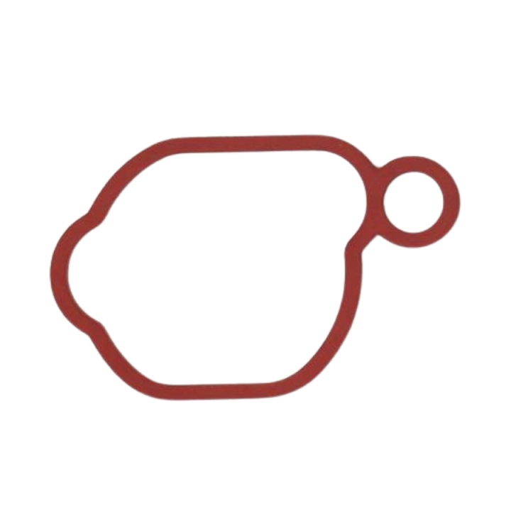 Pakningen i gruppen Reservedele / Briggs & Stratton reservedele hos GPLSHOP (5936014-91)