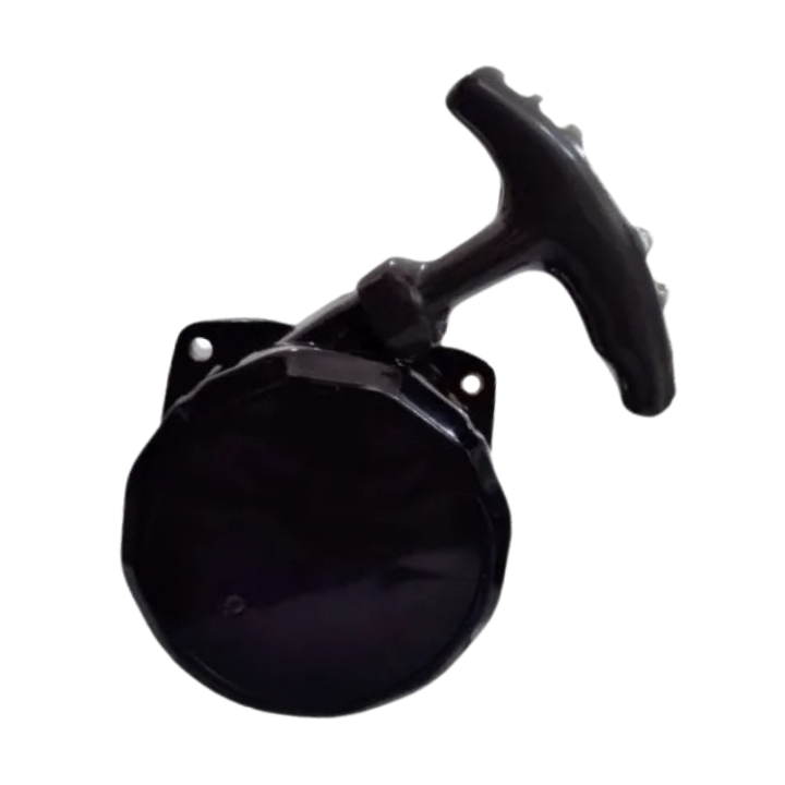 Starter Assy 31R&33R 5936600-01 i gruppen  hos GPLSHOP (5936600-01)