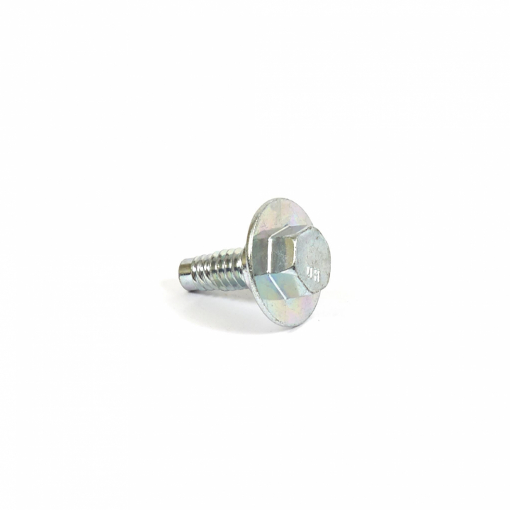 Skrue i gruppen Reservedele / Briggs & Stratton reservedele hos GPLSHOP (594618)