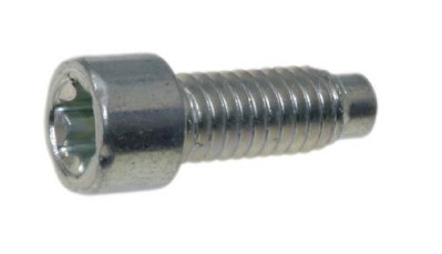 Skrue i gruppen  hos GPLSHOP (698941)