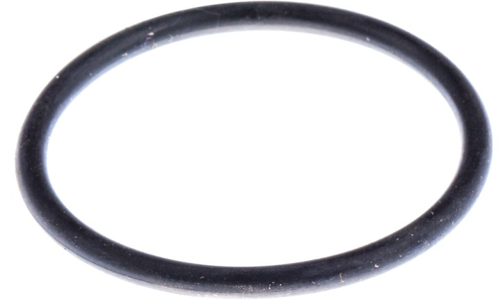 O-Ring 33X262 7404825-03 i gruppen hos GPLSHOP (7404825-03)