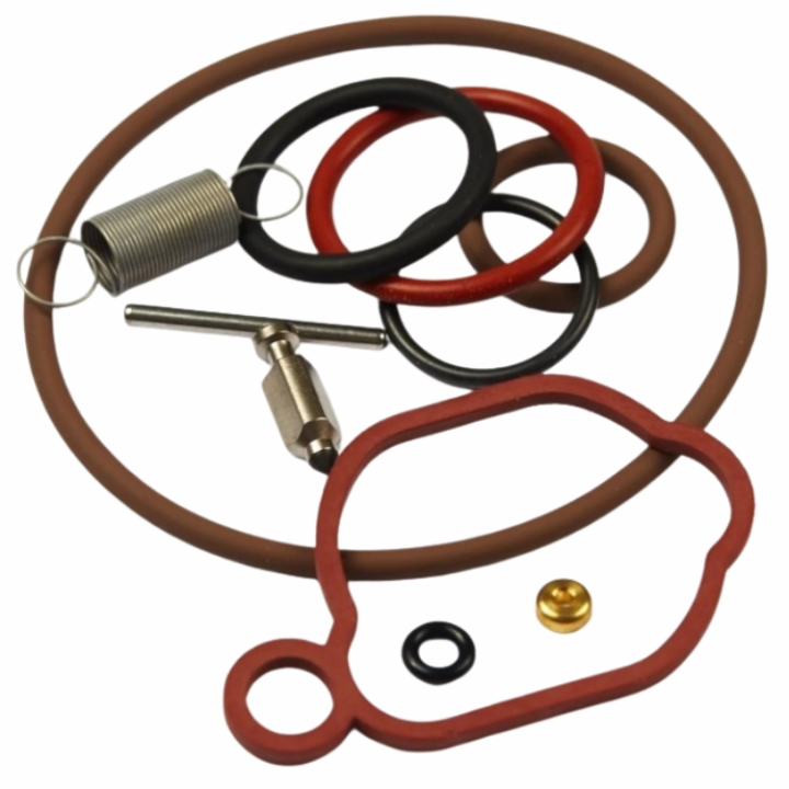 Rep. Kit Karburator i gruppen Reservedele / Briggs & Stratton reservedele hos GPLSHOP (84013065)