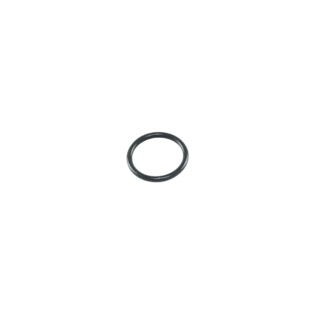 O Ring 5134378-01
