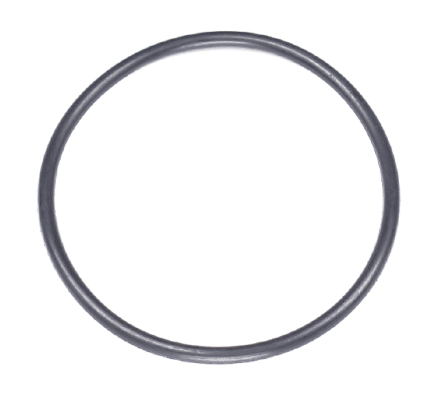 O-Ring 489X262