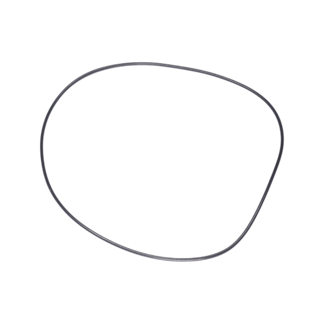 O Ring 5203748-01