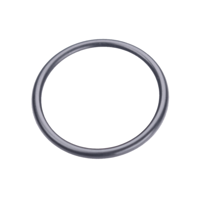 Oring 20X2 5204014-01