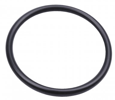 Oring 24X2 5204020-01