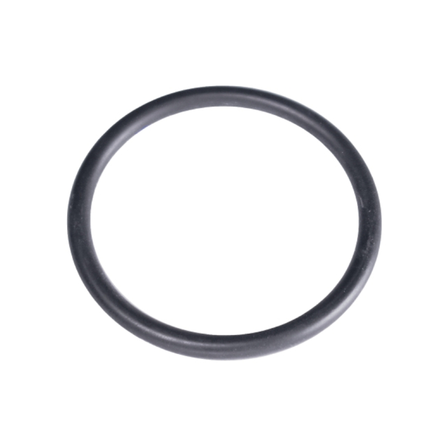 Oring 1 5204065-01