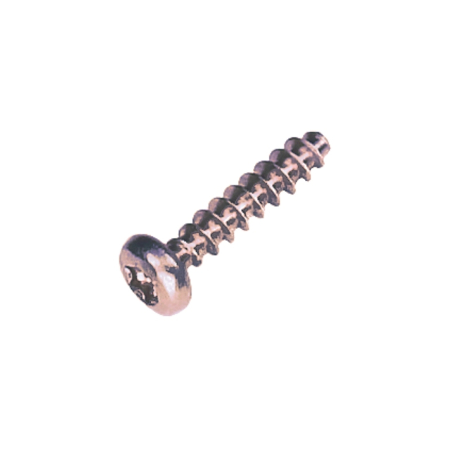 Ptscrew 40X18 T20 5205223-01